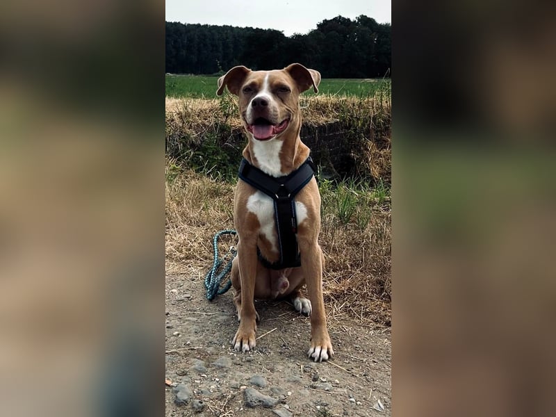 MURPHY - eine imposante Erscheinung