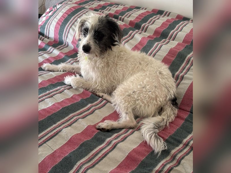 Bouncy Benni wartet auf seine Familie