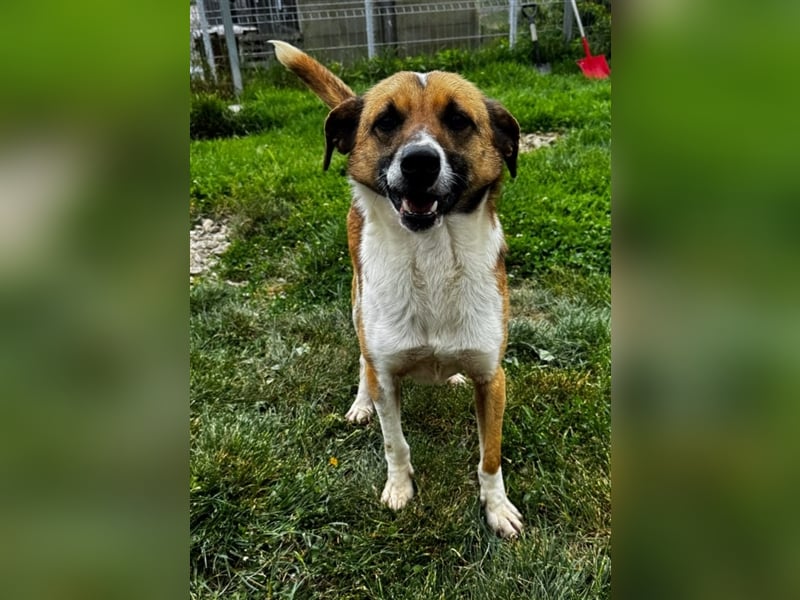 Charlie sucht seine Familie