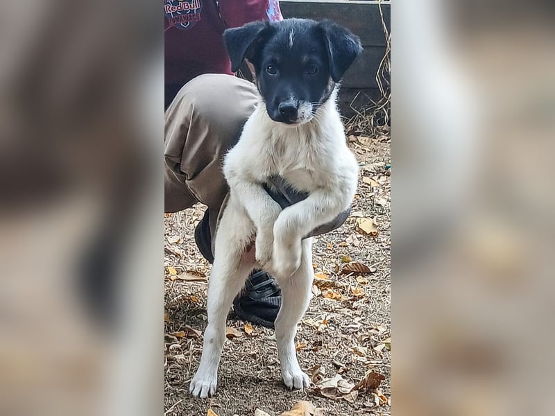  MONTY – VOM KLEINEN ANGSTHASEN ZUM GROSSEN HERZENSBRECHER! ❤️