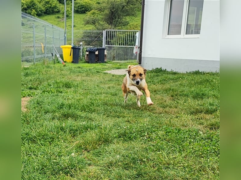 Charlie sucht seine Familie