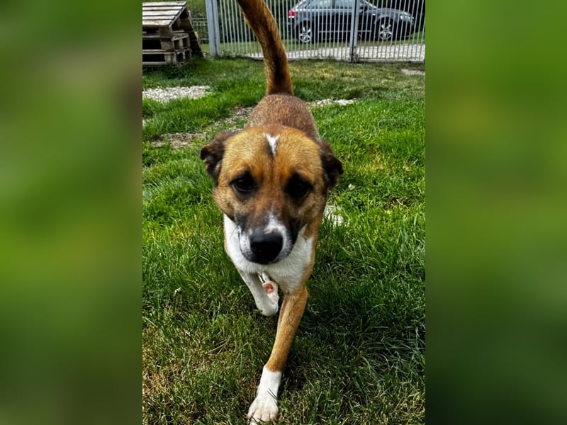 Charlie sucht seine Familie