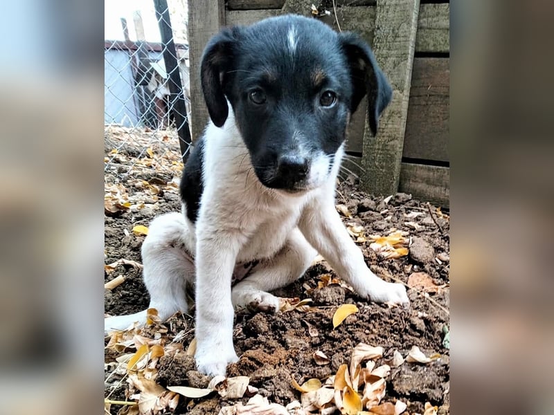 MONTY – VOM KLEINEN ANGSTHASEN ZUM GROSSEN HERZENSBRECHER! ❤️