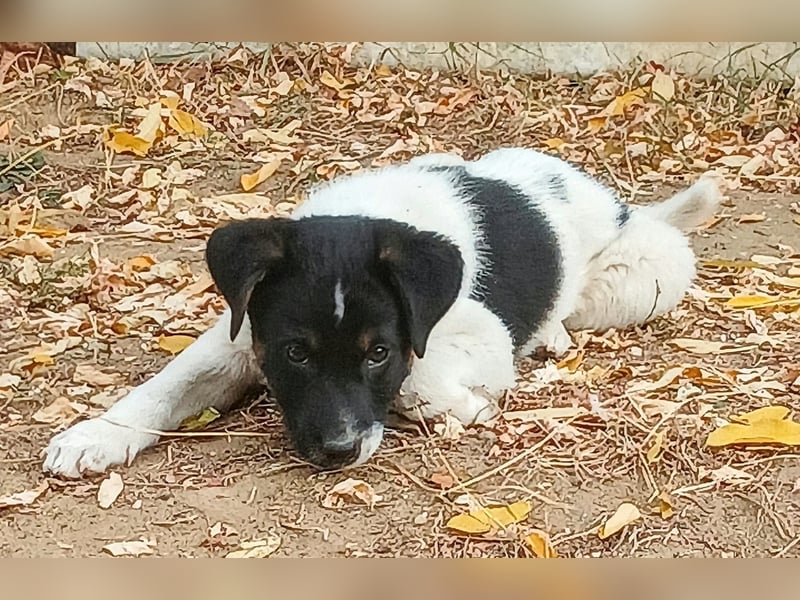  MONTY – VOM KLEINEN ANGSTHASEN ZUM GROSSEN HERZENSBRECHER! ❤️