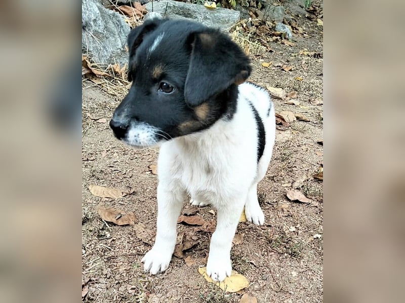  MONTY – VOM KLEINEN ANGSTHASEN ZUM GROSSEN HERZENSBRECHER! ❤️