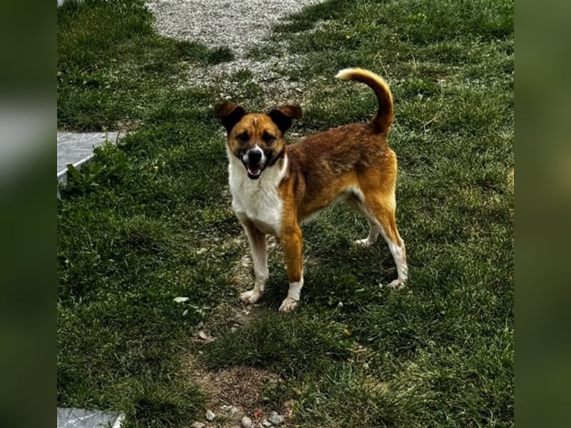 Charlie sucht seine Familie