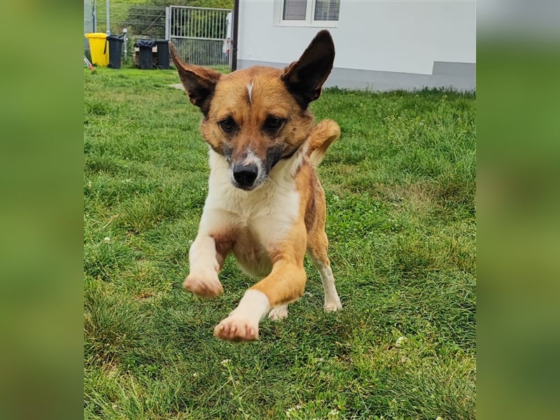 Charlie sucht seine Familie