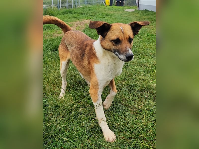 Charlie sucht seine Familie