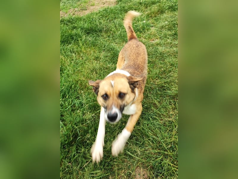 Charlie sucht seine Familie