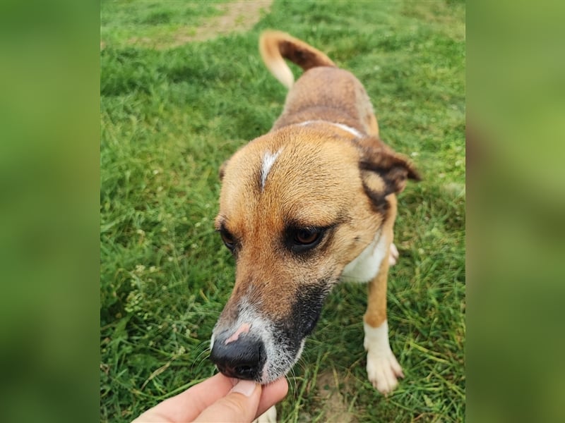 Charlie sucht seine Familie