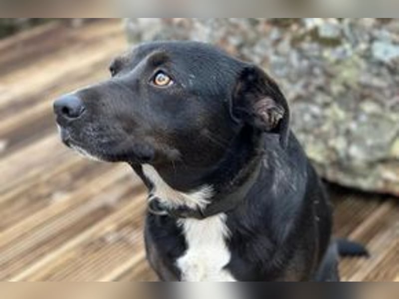 Yin und Yang, ein eng verbundenes Mutter Tochter Gespann