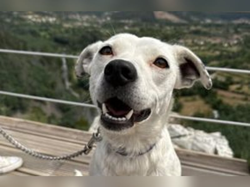 Yin und Yang, ein eng verbundenes Mutter Tochter Gespann