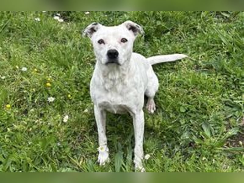 Yin und Yang, ein eng verbundenes Mutter Tochter Gespann