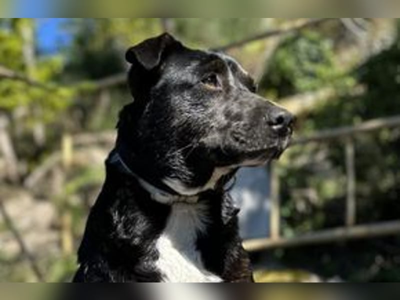 Yin und Yang, ein eng verbundenes Mutter Tochter Gespann