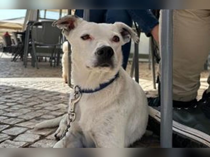 Yin und Yang, ein eng verbundenes Mutter Tochter Gespann