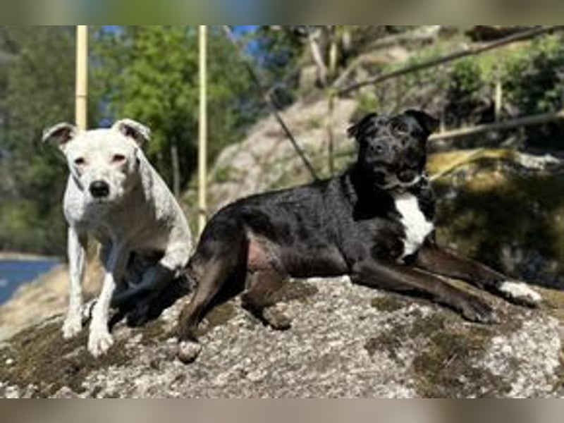 Yin und Yang, ein eng verbundenes Mutter Tochter Gespann