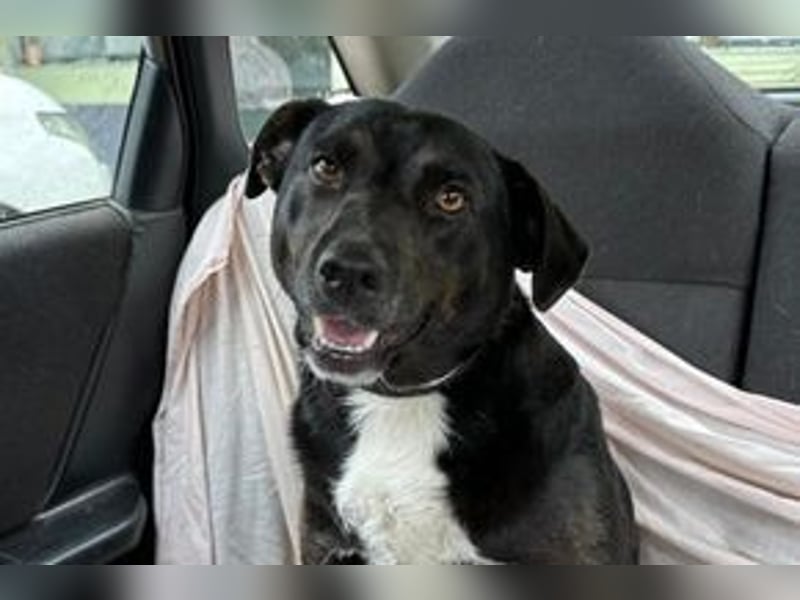 Yin und Yang, ein eng verbundenes Mutter Tochter Gespann