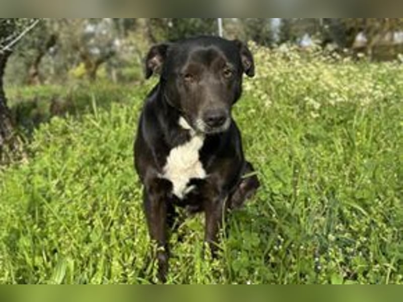 Yin und Yang, ein eng verbundenes Mutter Tochter Gespann