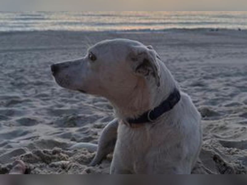 Yin und Yang, ein eng verbundenes Mutter Tochter Gespann