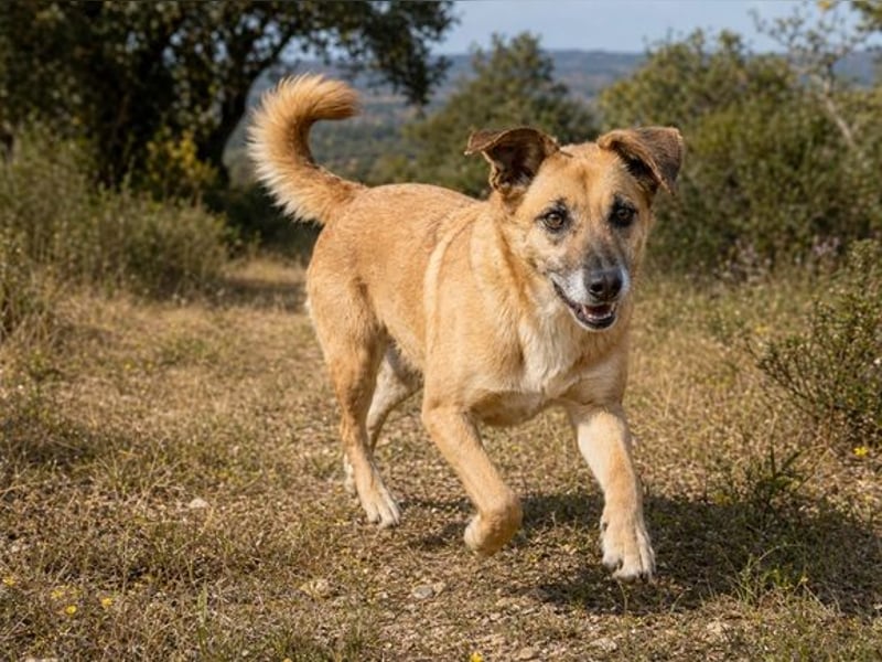 Sunny – eine selbstbewusste Dame