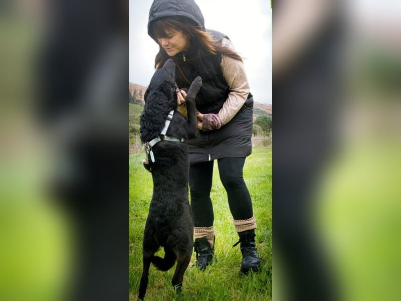 Lloyd - ein liebevoller Schmuser