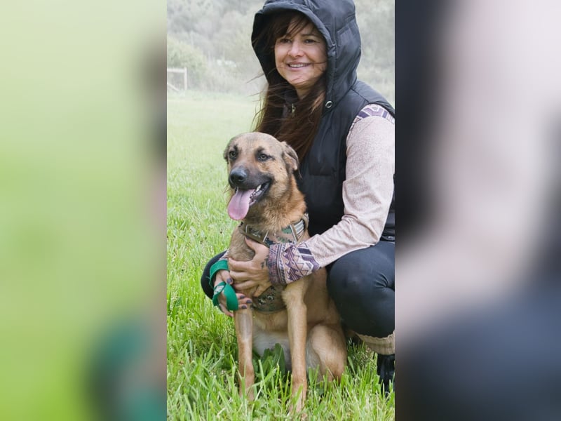 Sweet – junger Wirbelwind mit Herz