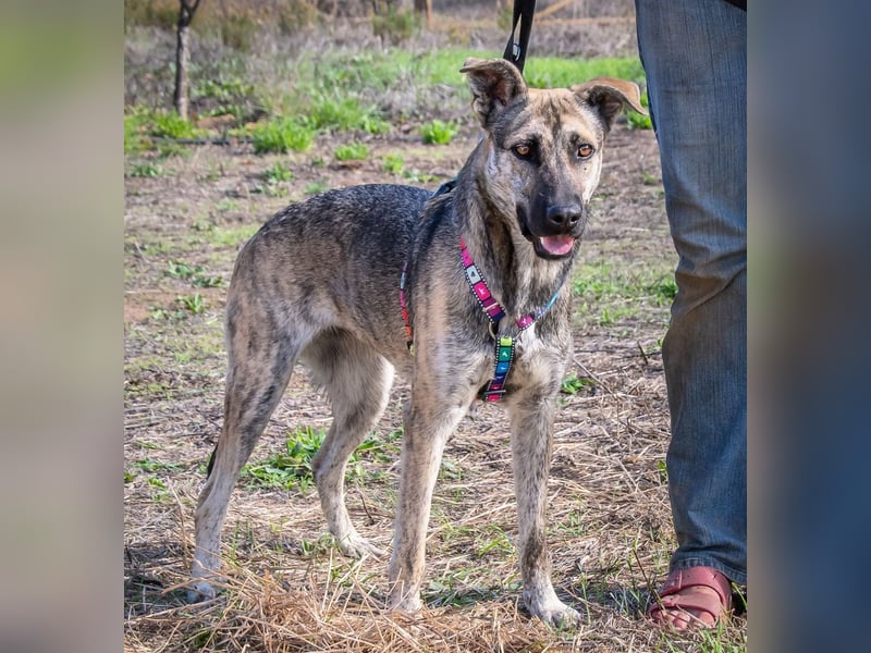Jennifer – ein liebes Mädchen