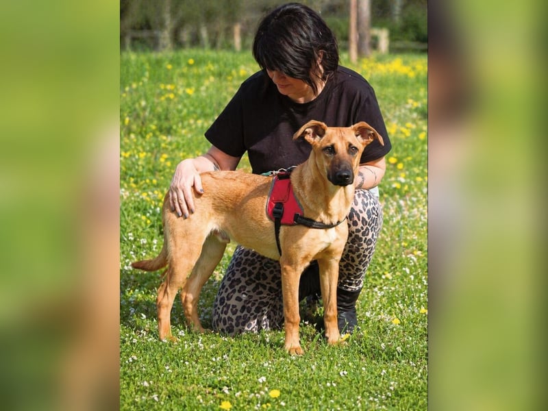 Delano - voller Charme und Lebensfreude