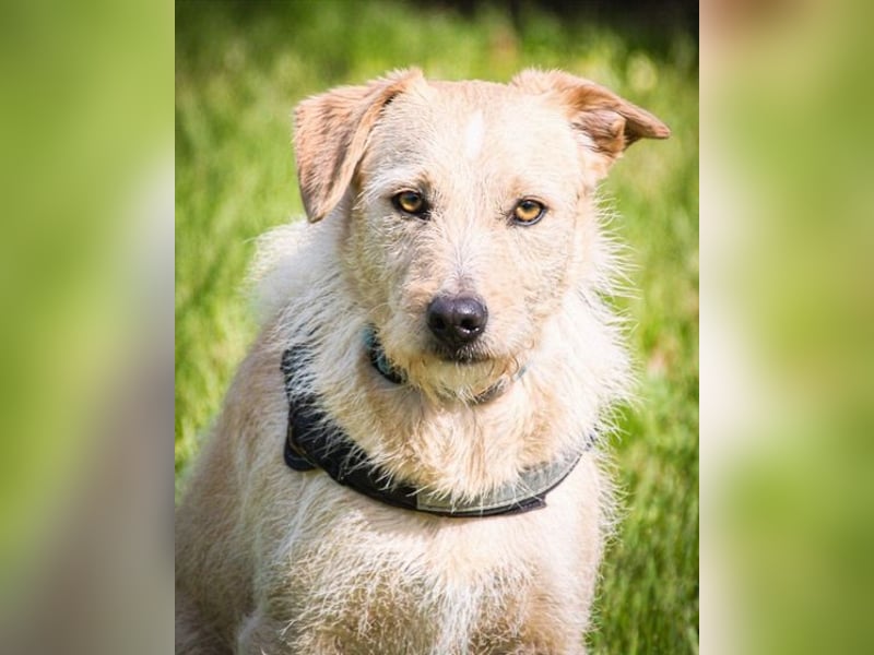 Patrick - auf dem Weg ins Vertrauen