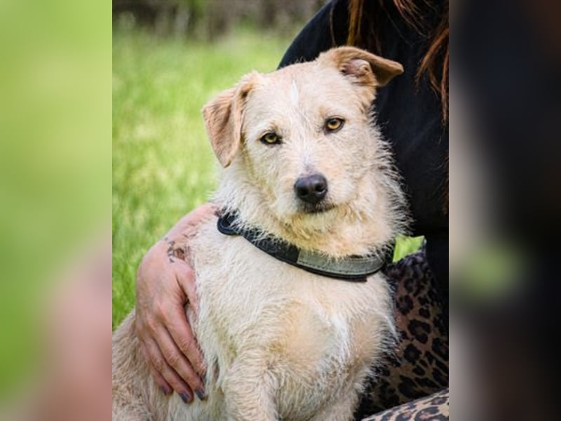 Patrick - auf dem Weg ins Vertrauen