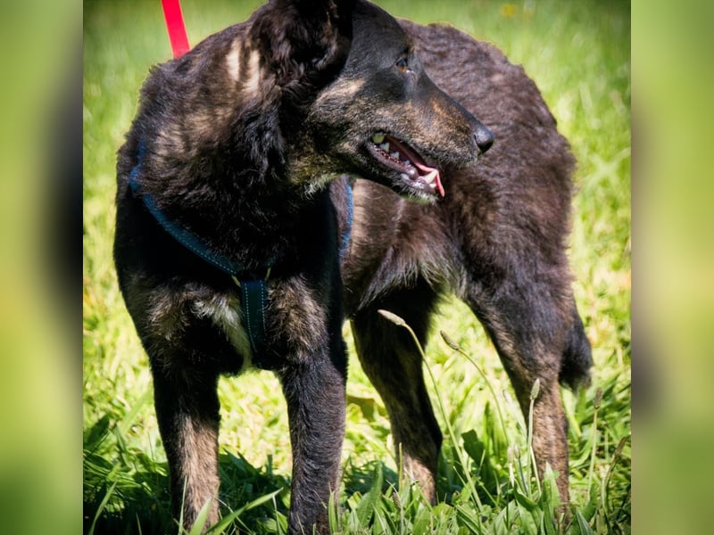 Amora - eine liebe Seele