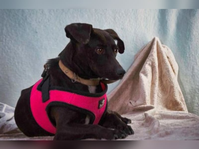 Marisa – ein liebes Mädchen