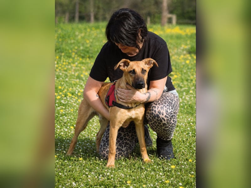 Delano - voller Charme und Lebensfreude