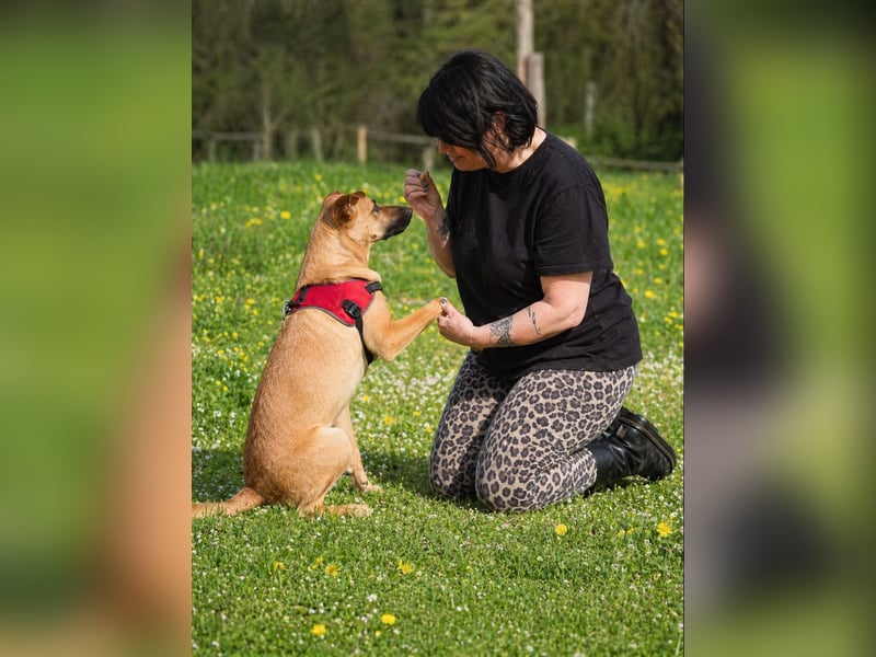 Delano - voller Charme und Lebensfreude