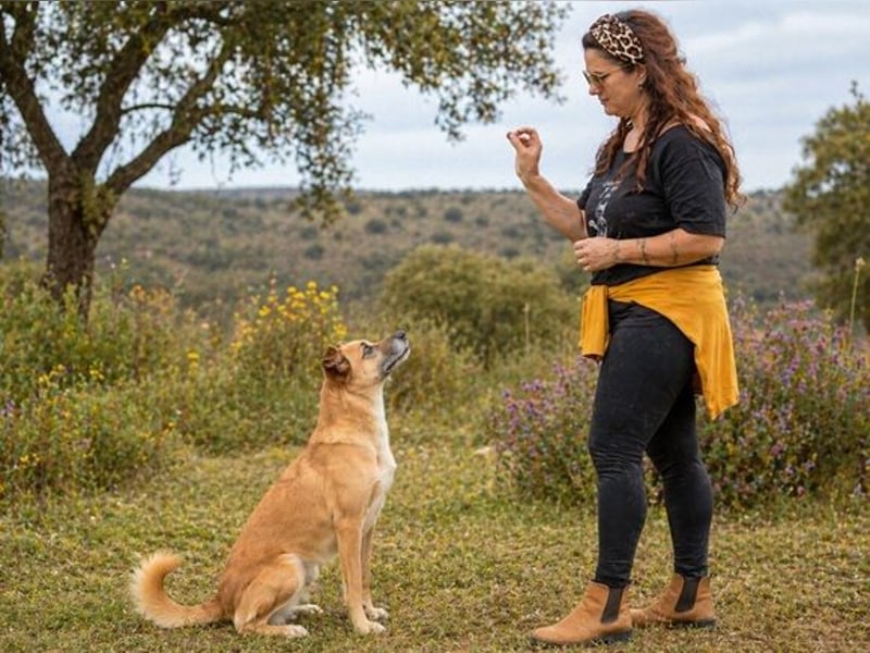 Sunny – eine selbstbewusste Dame