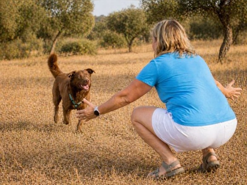 Amendoa - ein kesses Mädchen