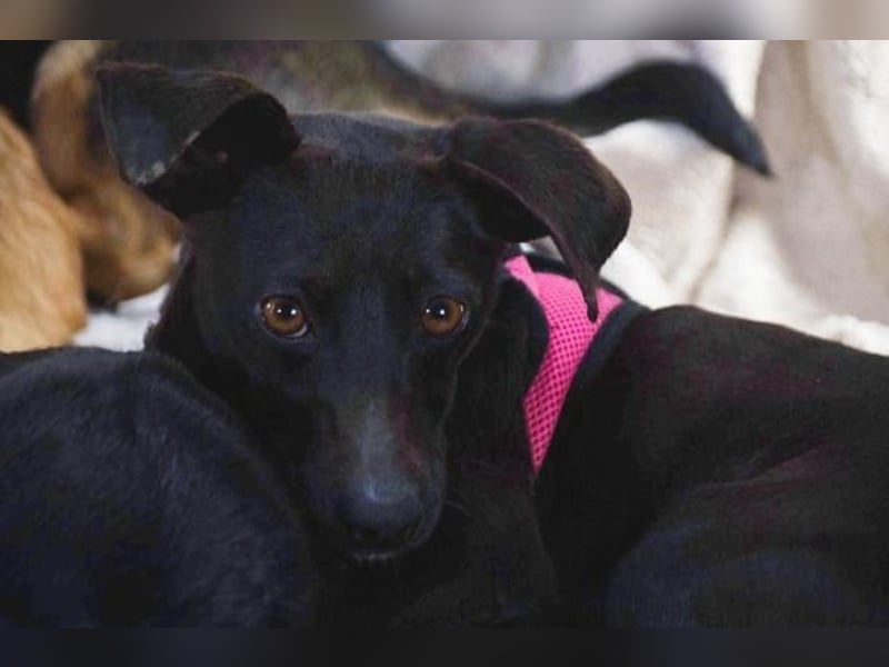 Marisa – ein liebes Mädchen