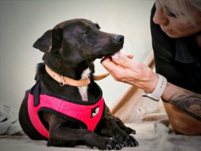 Marisa – ein liebes Mädchen