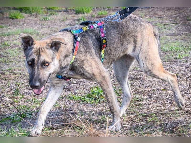 Jennifer – ein liebes Mädchen