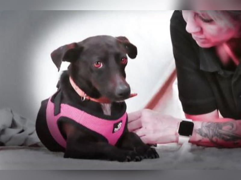 Marisa – ein liebes Mädchen