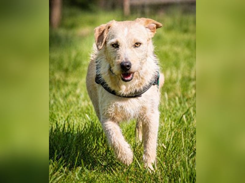 Patrick - auf dem Weg ins Vertrauen