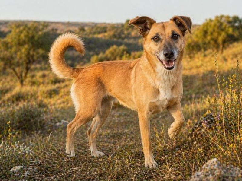 Sunny – eine selbstbewusste Dame