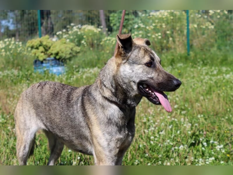 Jennifer – ein liebes Mädchen