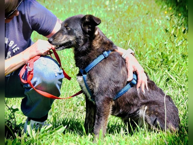 Amora - eine liebe Seele