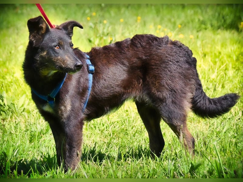 Amora - eine liebe Seele