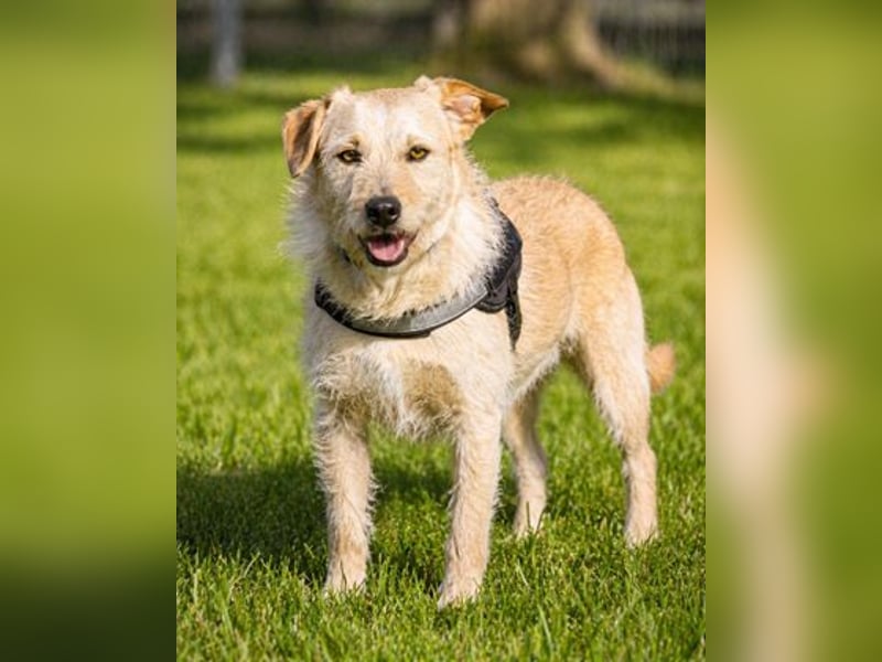 Patrick - auf dem Weg ins Vertrauen