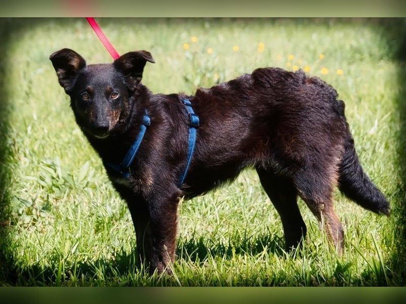 Amora - eine liebe Seele