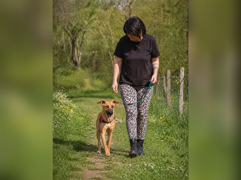 Delano - voller Charme und Lebensfreude