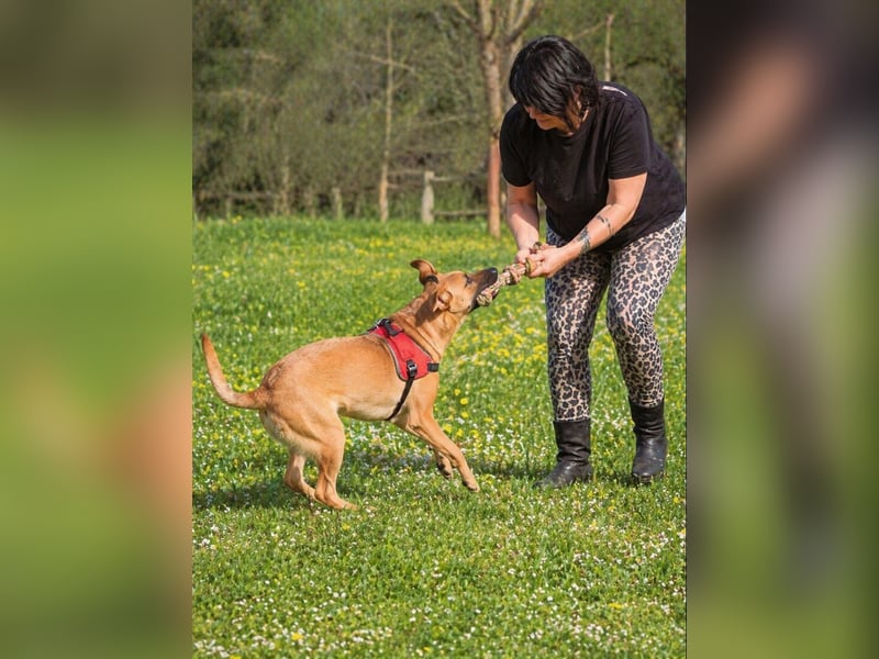 Delano - voller Charme und Lebensfreude