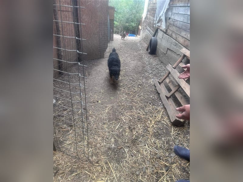 Violetta sucht einen PLatz zum Ankommen